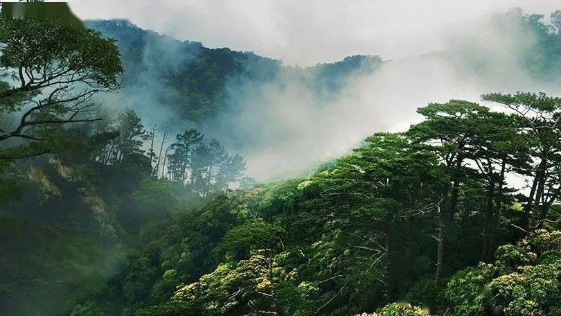 水果甜心经典版