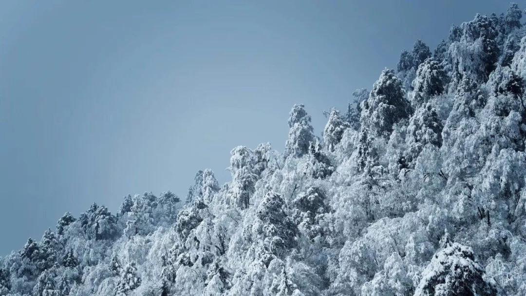 山西特产中心将于1月31日开业